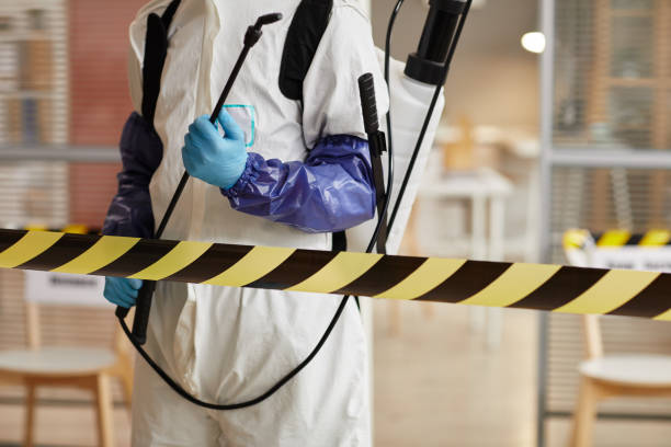 Professional Hoarding Cleanup technician working in Centereach, NY